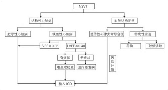 2016年室性心律失常中国专家共识解读