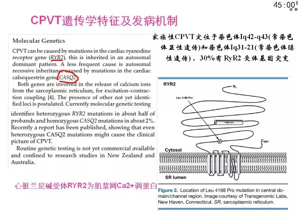 舒茂琴：抗心律失常药物临床应用——老药新用