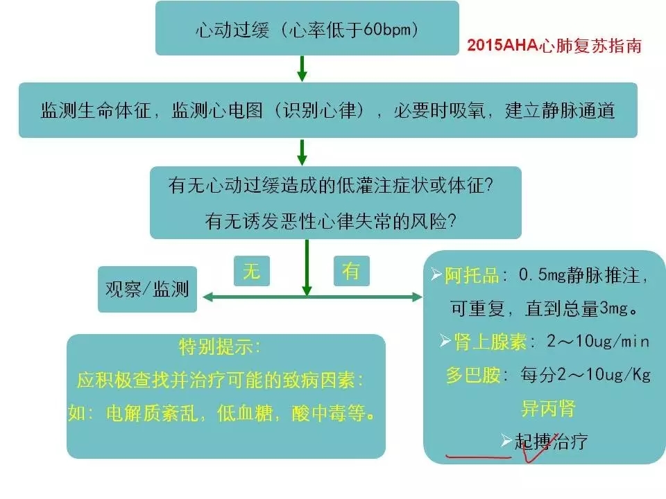 舒茂琴：抗心律失常药物临床应用——老药新用