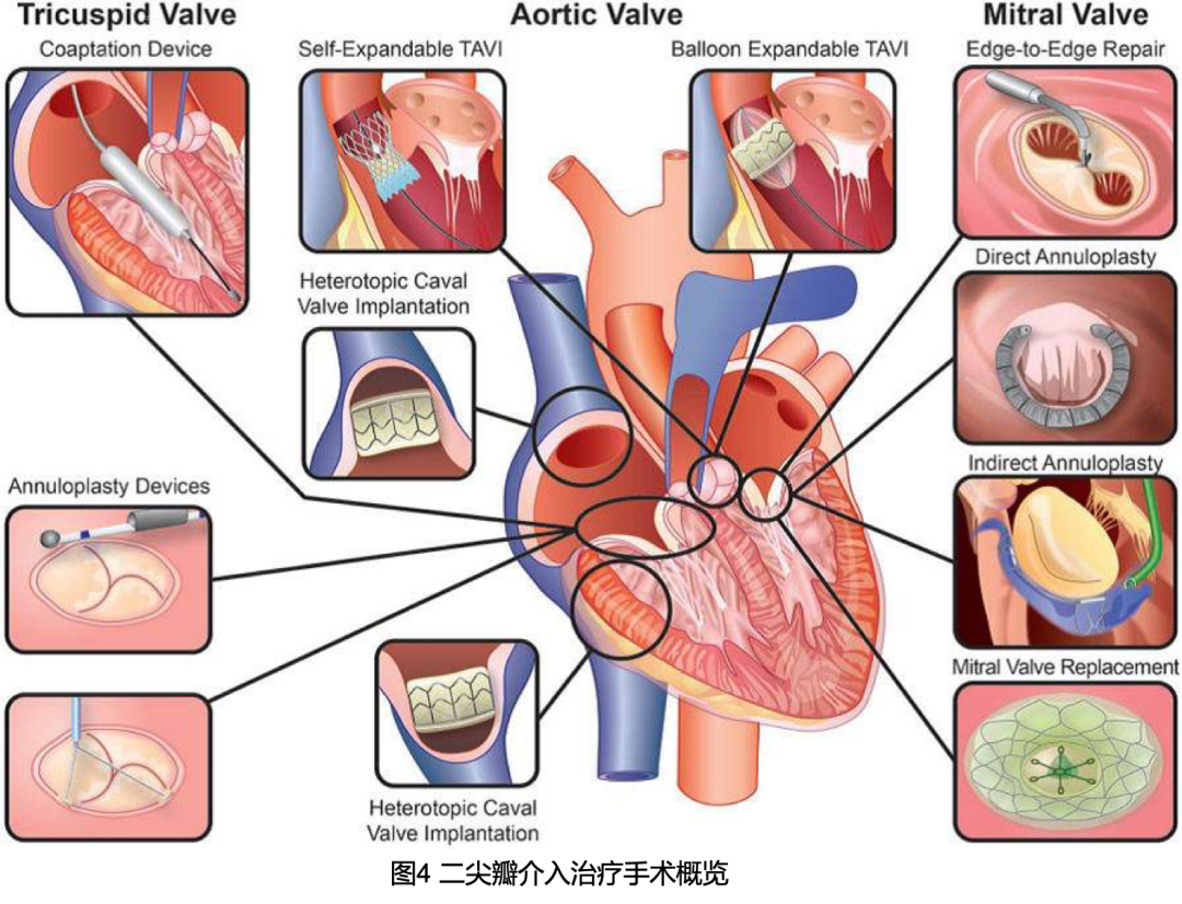 心脏康复网—心脏康复领域专业学术网站