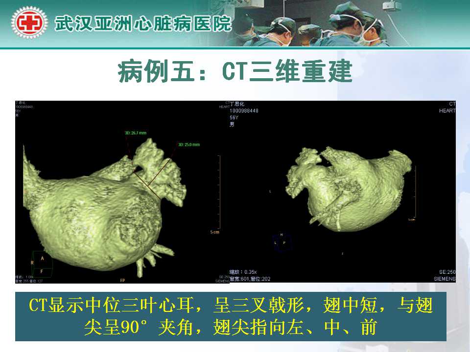 幻灯片21.jpg