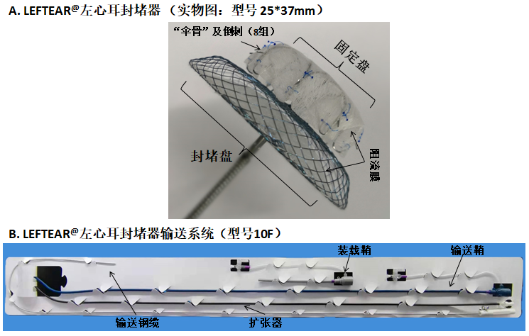 微信图片_20200628092656.png