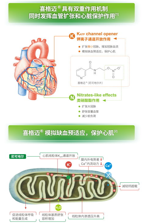 日健中外-喜格迈-产品介绍-2.jpg