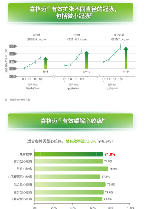 日健中外-喜格迈-产品介绍-3.jpg